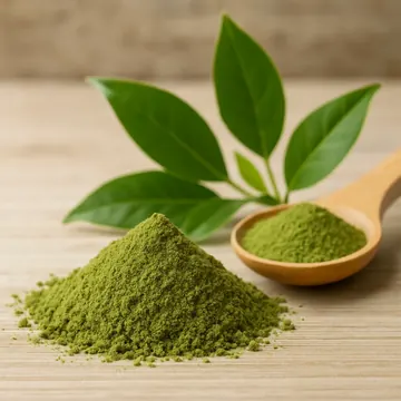 Green Tea Extract — ingredient in Coffee Burn